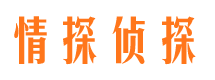 谯城侦探